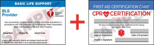 Sample American Heart Association AHA BLS CPR Card Certification and First Aid Certification Card from CPR Certification Oklahoma City