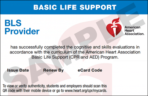 Sample American Heart Association AHA BLS CPR Card Certification from CPR Certification Oklahoma City